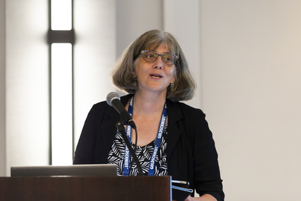 Goldschmidt 2024 08 20 Chicago c Gael Kazaz-117