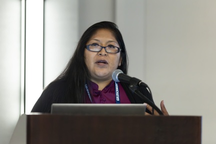 Goldschmidt 2024 08 20 Chicago c Gael Kazaz-101