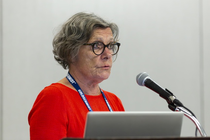 Goldschmidt 2024 08 20 Chicago c Gael Kazaz-131