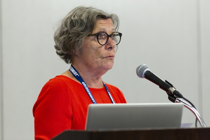 Goldschmidt 2024 08 20 Chicago c Gael Kazaz-132