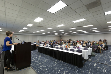 Goldschmidt 2024 08 20 Chicago c Gael Kazaz-145