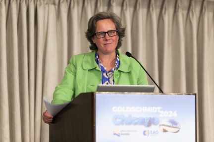 Goldschmidt 2024 08 21 Chicago c Gael Kazaz-94