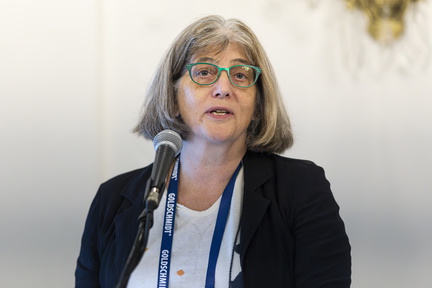 Goldschmidt 2024 08 22 Chicago c Gael Kazaz-3