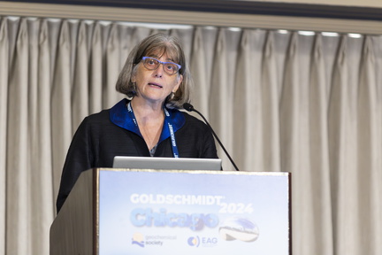 Goldschmidt 2024 08 23 Chicago c Gael Kazaz-16
